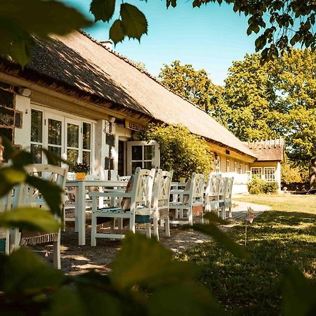 Vanatoa Taluhotell Koguva Dış mekan fotoğraf