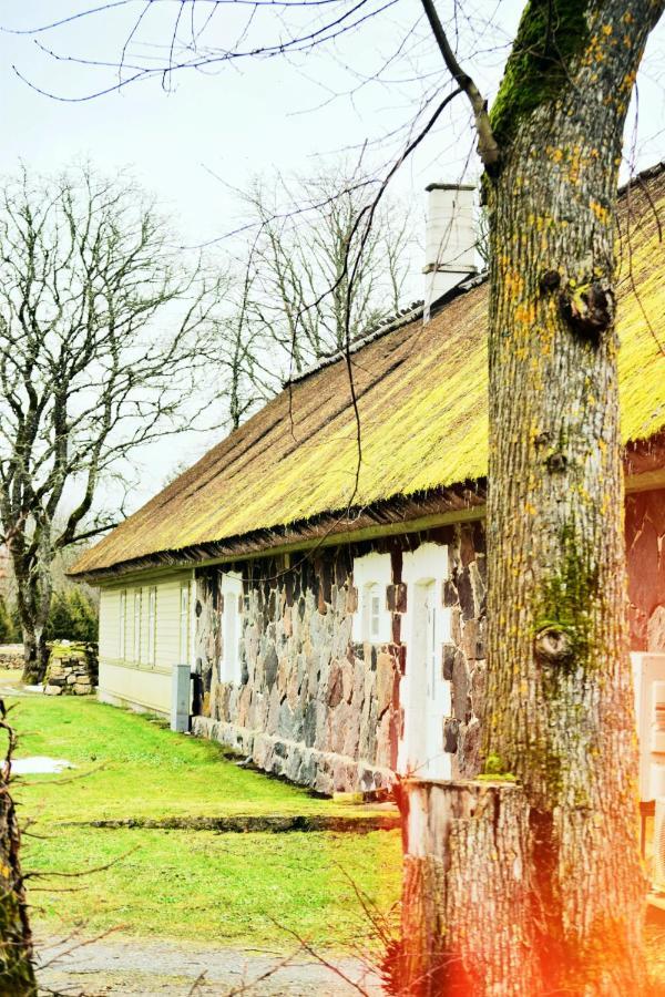 Vanatoa Taluhotell Koguva Dış mekan fotoğraf