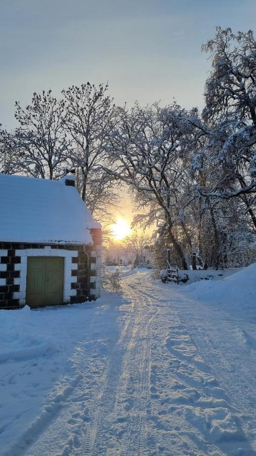Vanatoa Taluhotell Koguva Dış mekan fotoğraf