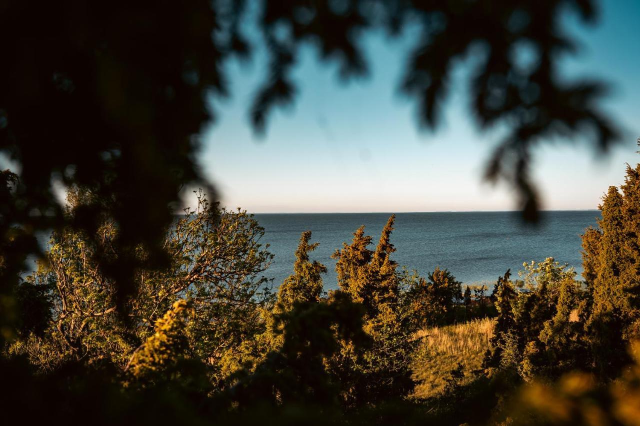 Vanatoa Taluhotell Koguva Dış mekan fotoğraf
